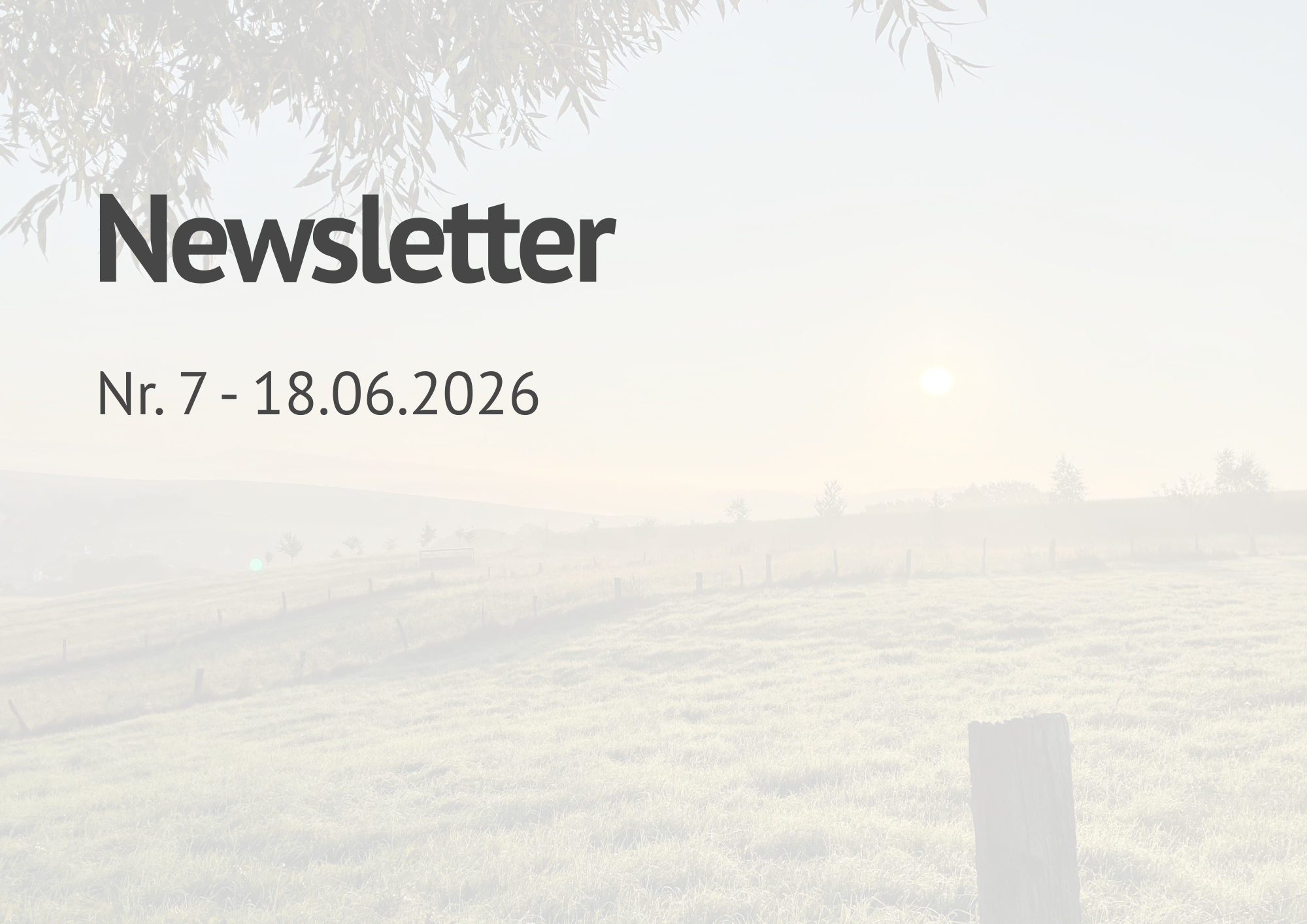 Anzeige: "Newsletter Nr. 7 vom 18.06.2026"